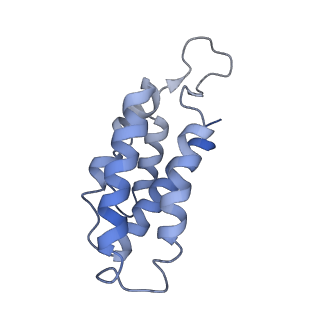 9658_6ify_C_v1-3
Type III-A Csm complex, Cryo-EM structure of Csm-CTR1