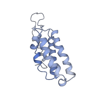 9658_6ify_D_v1-2
Type III-A Csm complex, Cryo-EM structure of Csm-CTR1