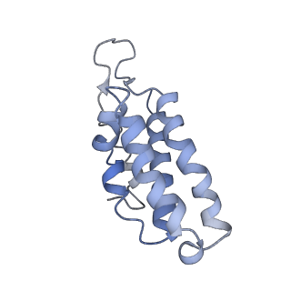 9658_6ify_D_v1-3
Type III-A Csm complex, Cryo-EM structure of Csm-CTR1