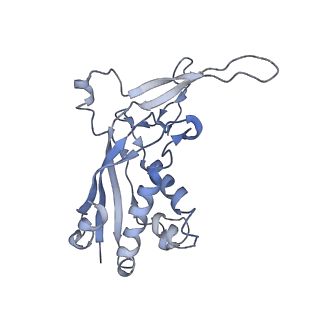 9658_6ify_E_v1-3
Type III-A Csm complex, Cryo-EM structure of Csm-CTR1