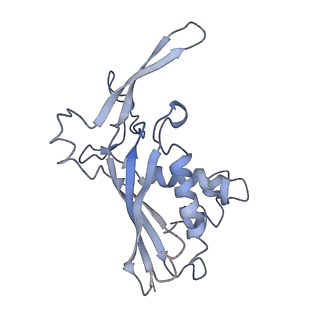 9658_6ify_F_v1-2
Type III-A Csm complex, Cryo-EM structure of Csm-CTR1