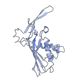 9658_6ify_F_v1-3
Type III-A Csm complex, Cryo-EM structure of Csm-CTR1