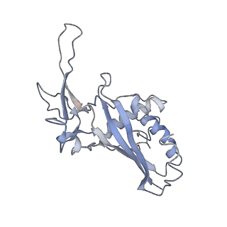 9658_6ify_G_v1-3
Type III-A Csm complex, Cryo-EM structure of Csm-CTR1
