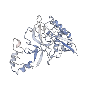 9658_6ify_H_v1-2
Type III-A Csm complex, Cryo-EM structure of Csm-CTR1