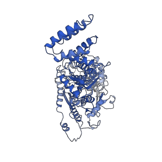 9659_6ifz_A_v1-2
Type III-A Csm complex, Cryo-EM structure of Csm-CTR2-ssDNA complex