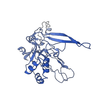 9659_6ifz_B_v1-2
Type III-A Csm complex, Cryo-EM structure of Csm-CTR2-ssDNA complex