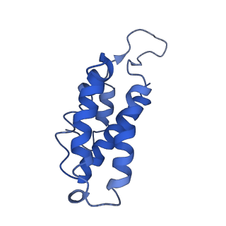 9659_6ifz_C_v1-2
Type III-A Csm complex, Cryo-EM structure of Csm-CTR2-ssDNA complex