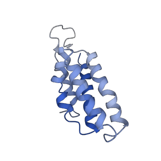 9659_6ifz_D_v1-2
Type III-A Csm complex, Cryo-EM structure of Csm-CTR2-ssDNA complex
