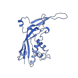 9659_6ifz_E_v1-2
Type III-A Csm complex, Cryo-EM structure of Csm-CTR2-ssDNA complex