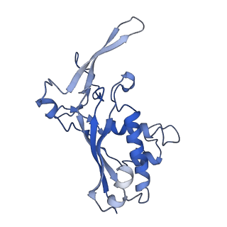 9659_6ifz_F_v1-2
Type III-A Csm complex, Cryo-EM structure of Csm-CTR2-ssDNA complex