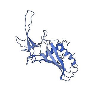 9659_6ifz_G_v1-2
Type III-A Csm complex, Cryo-EM structure of Csm-CTR2-ssDNA complex