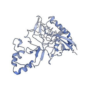 9659_6ifz_H_v1-2
Type III-A Csm complex, Cryo-EM structure of Csm-CTR2-ssDNA complex