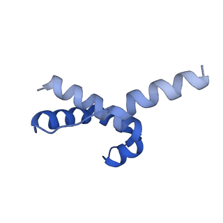 35438_8igr_B_v1-2
Cryo-EM structure of CII-dependent transcription activation complex
