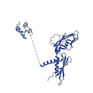 35438_8igr_G_v1-2
Cryo-EM structure of CII-dependent transcription activation complex