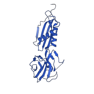 35438_8igr_H_v1-2
Cryo-EM structure of CII-dependent transcription activation complex