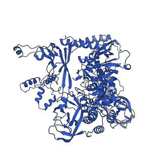 35438_8igr_I_v1-2
Cryo-EM structure of CII-dependent transcription activation complex