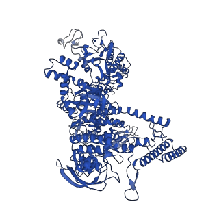 35438_8igr_J_v1-2
Cryo-EM structure of CII-dependent transcription activation complex