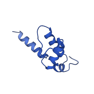 35438_8igr_K_v1-2
Cryo-EM structure of CII-dependent transcription activation complex