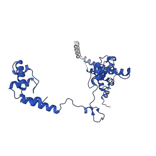 35438_8igr_L_v1-2
Cryo-EM structure of CII-dependent transcription activation complex