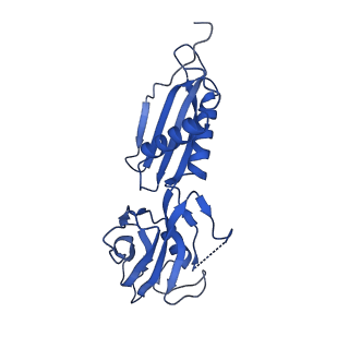 35439_8igs_H_v1-2
Cryo-EM structure of RNAP-promoter open complex at lambda promoter PRE