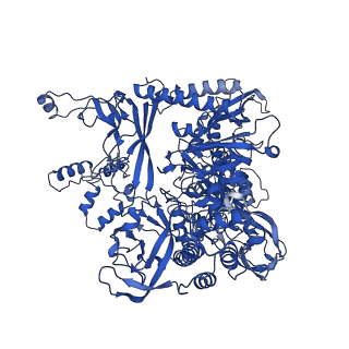35439_8igs_I_v1-2
Cryo-EM structure of RNAP-promoter open complex at lambda promoter PRE