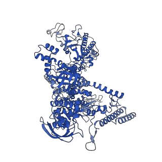35439_8igs_J_v1-2
Cryo-EM structure of RNAP-promoter open complex at lambda promoter PRE