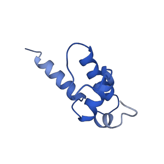 35439_8igs_K_v1-2
Cryo-EM structure of RNAP-promoter open complex at lambda promoter PRE