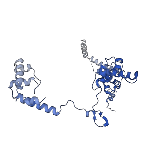 35439_8igs_L_v1-2
Cryo-EM structure of RNAP-promoter open complex at lambda promoter PRE