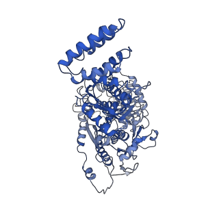 9660_6ig0_A_v1-2
Type III-A Csm complex, Cryo-EM structure of Csm-CTR1, ATP bound