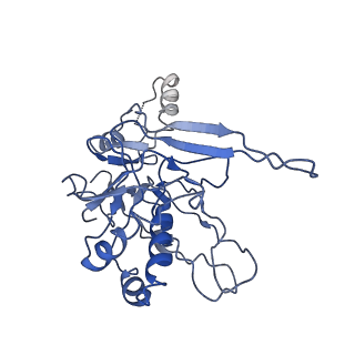 9660_6ig0_B_v1-2
Type III-A Csm complex, Cryo-EM structure of Csm-CTR1, ATP bound