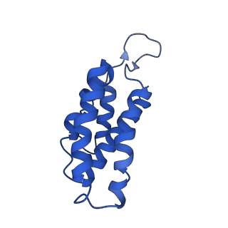 9660_6ig0_C_v1-2
Type III-A Csm complex, Cryo-EM structure of Csm-CTR1, ATP bound