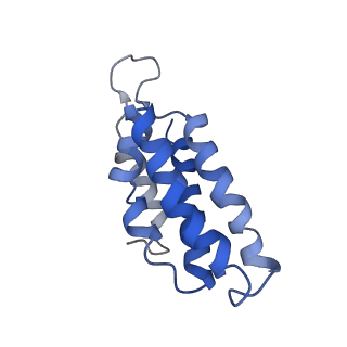 9660_6ig0_D_v1-2
Type III-A Csm complex, Cryo-EM structure of Csm-CTR1, ATP bound
