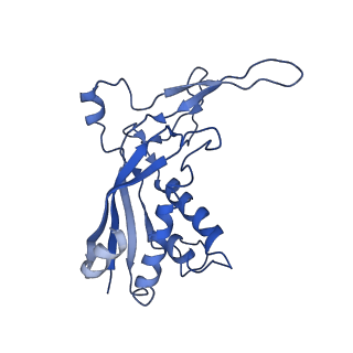 9660_6ig0_E_v1-2
Type III-A Csm complex, Cryo-EM structure of Csm-CTR1, ATP bound