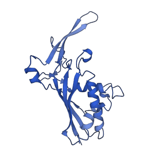 9660_6ig0_F_v1-2
Type III-A Csm complex, Cryo-EM structure of Csm-CTR1, ATP bound