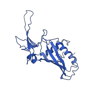 9660_6ig0_G_v1-2
Type III-A Csm complex, Cryo-EM structure of Csm-CTR1, ATP bound