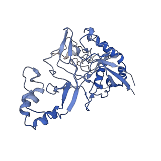 9660_6ig0_H_v1-2
Type III-A Csm complex, Cryo-EM structure of Csm-CTR1, ATP bound