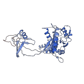 9668_6igm_A_v1-1
Cryo-EM Structure of Human SRCAP Complex