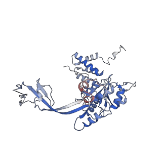 9668_6igm_B_v1-0
Cryo-EM Structure of Human SRCAP Complex