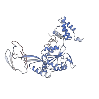 9668_6igm_C_v1-0
Cryo-EM Structure of Human SRCAP Complex