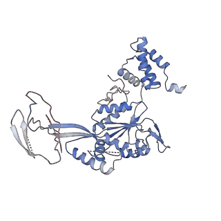 9668_6igm_C_v1-1
Cryo-EM Structure of Human SRCAP Complex