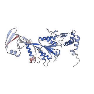 9668_6igm_D_v1-1
Cryo-EM Structure of Human SRCAP Complex