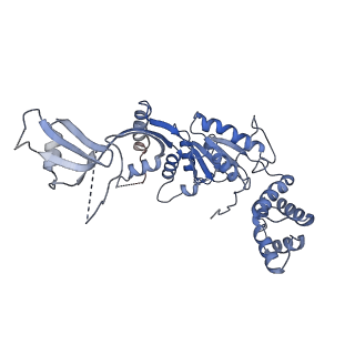 9668_6igm_E_v1-0
Cryo-EM Structure of Human SRCAP Complex