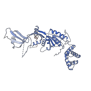 9668_6igm_E_v1-1
Cryo-EM Structure of Human SRCAP Complex