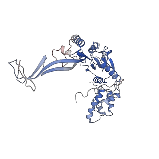 9668_6igm_F_v1-1
Cryo-EM Structure of Human SRCAP Complex