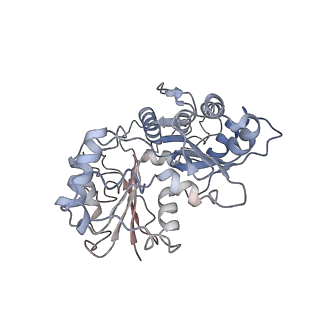 9668_6igm_G_v1-1
Cryo-EM Structure of Human SRCAP Complex