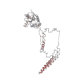 9668_6igm_H_v1-0
Cryo-EM Structure of Human SRCAP Complex