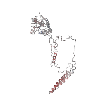 9668_6igm_H_v1-1
Cryo-EM Structure of Human SRCAP Complex