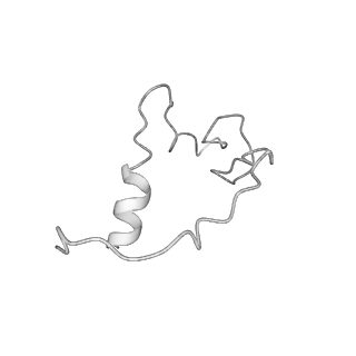9668_6igm_X_v1-0
Cryo-EM Structure of Human SRCAP Complex