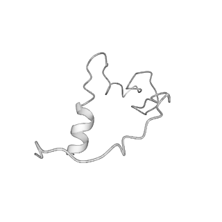 9668_6igm_X_v1-1
Cryo-EM Structure of Human SRCAP Complex