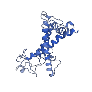 9670_6igz_3_v1-5
Structure of PSI-LHCI